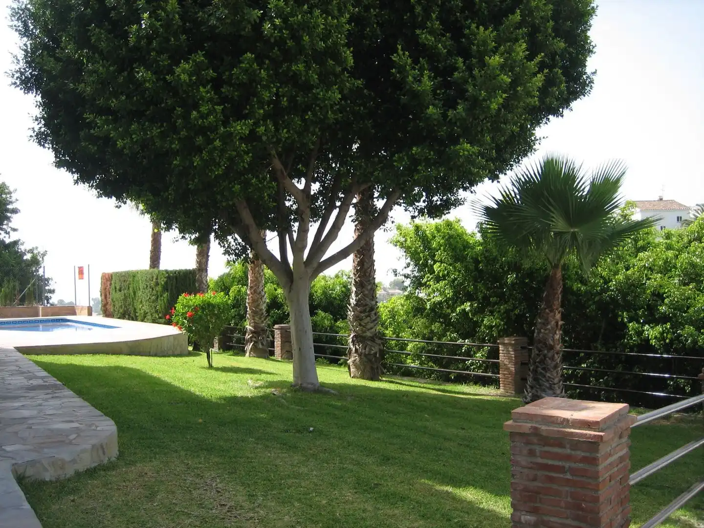 Casa o chalet de alquiler en N/A, Avda Pescia - Ctra de Frigiliana