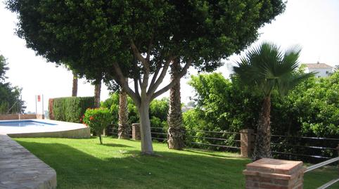 Photo 4 of House or chalet to rent in N/a, Avda Pescia - Ctra de Frigiliana, Málaga