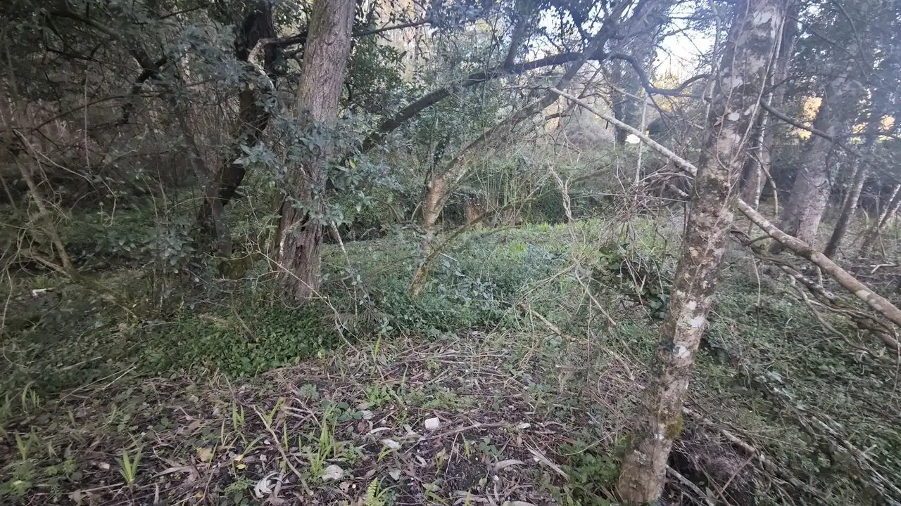 Terreno rustico in vendita a Pría - Nueva-Hontoria - Naves, imagen 16