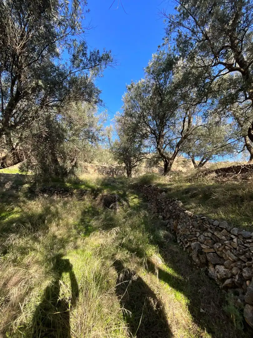 Terreni e lotti in vendita a carretera, imagen 15