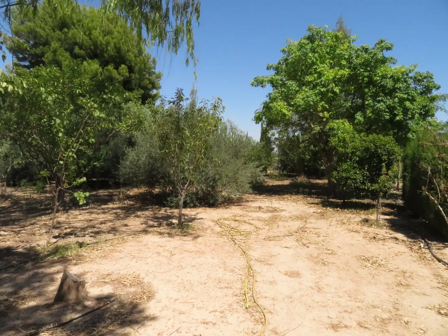 Casa rústica amb piscina en venda a Pasaje los Pepeles, imagen 42