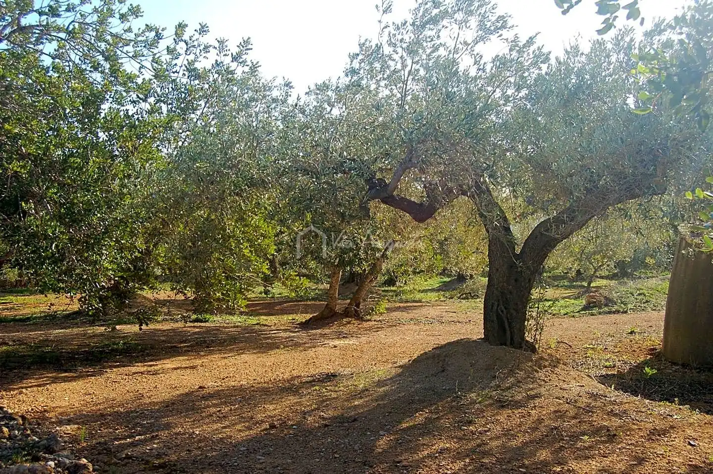 Terreno rustico in vendita a Masets, imagen 8