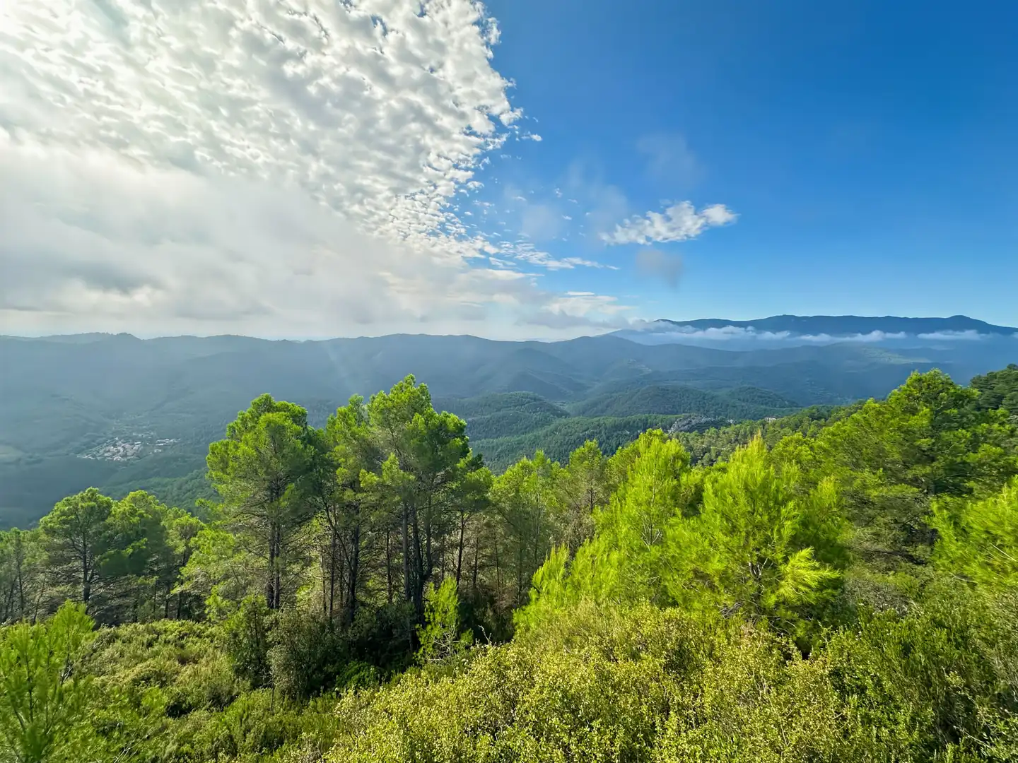 Vista exterior de Residencial en venta en Sant Llorenç de la Muga