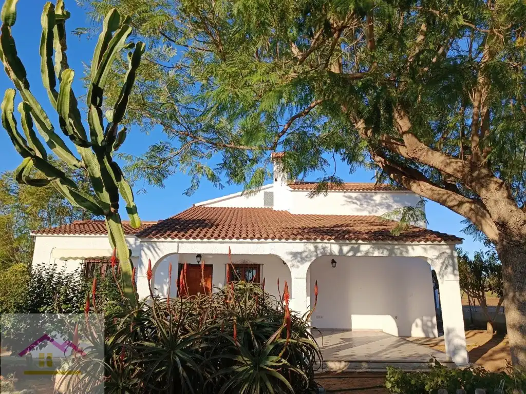 Finca rústica en venda a Calle Poligono 13, Torreblanca