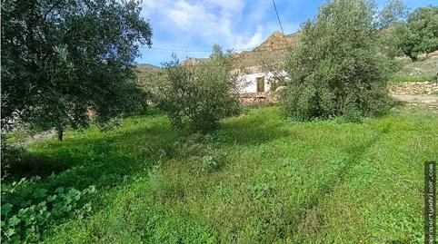 Foto 5 de Finca rústica en venda a Bédar, Almería
