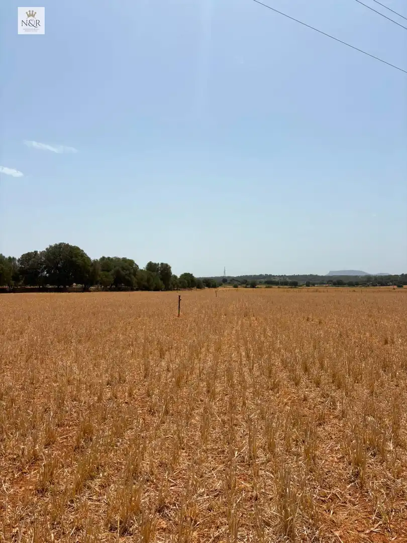 Finca rústica en venta en Sencelles