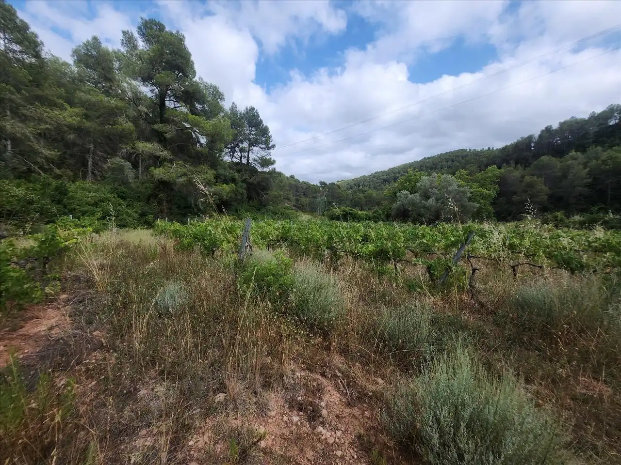 Terreny residencial en venda a Plana de Cal Cendra, imagen 7