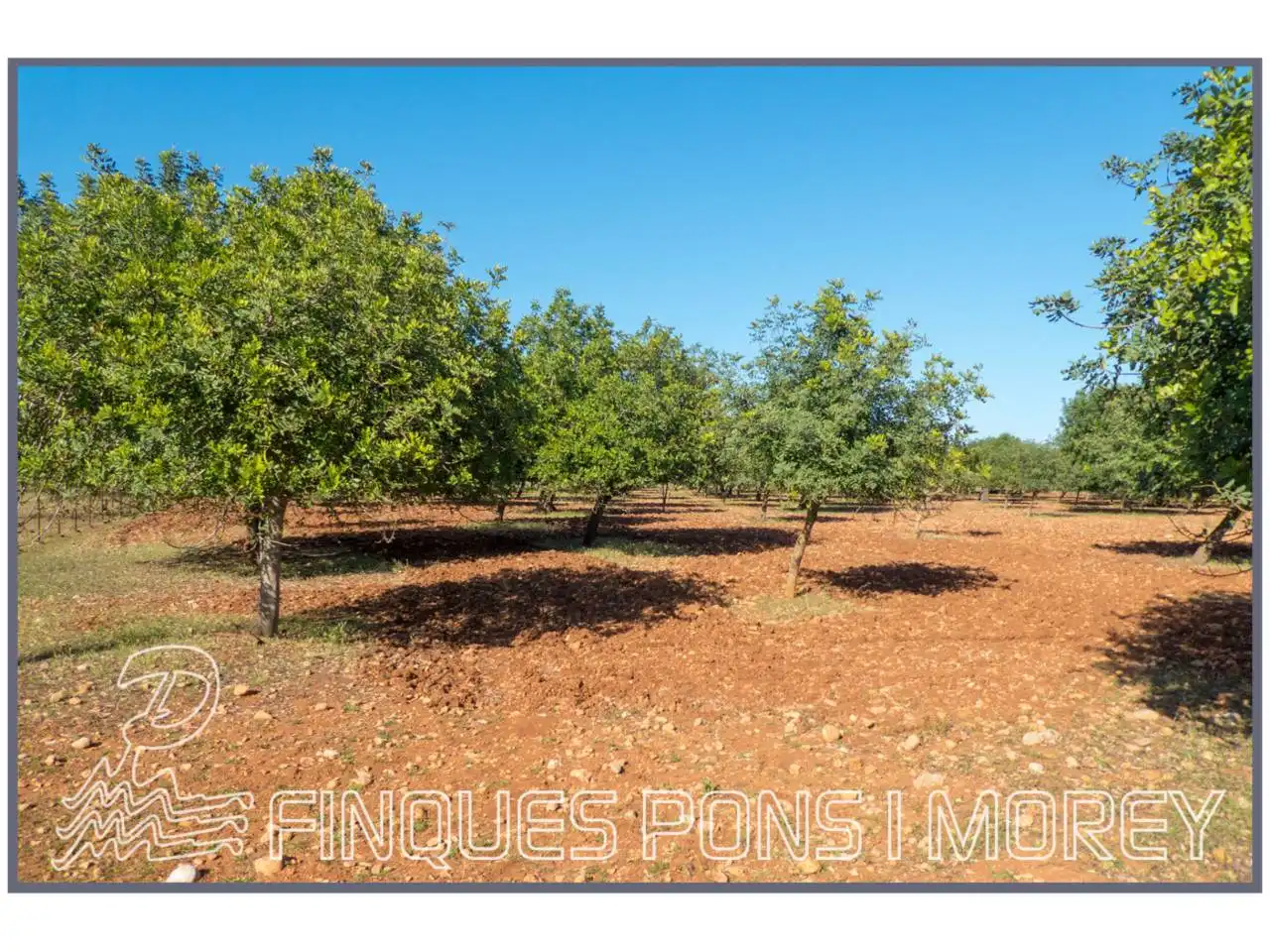 Finca rústica en venda en Campanet
