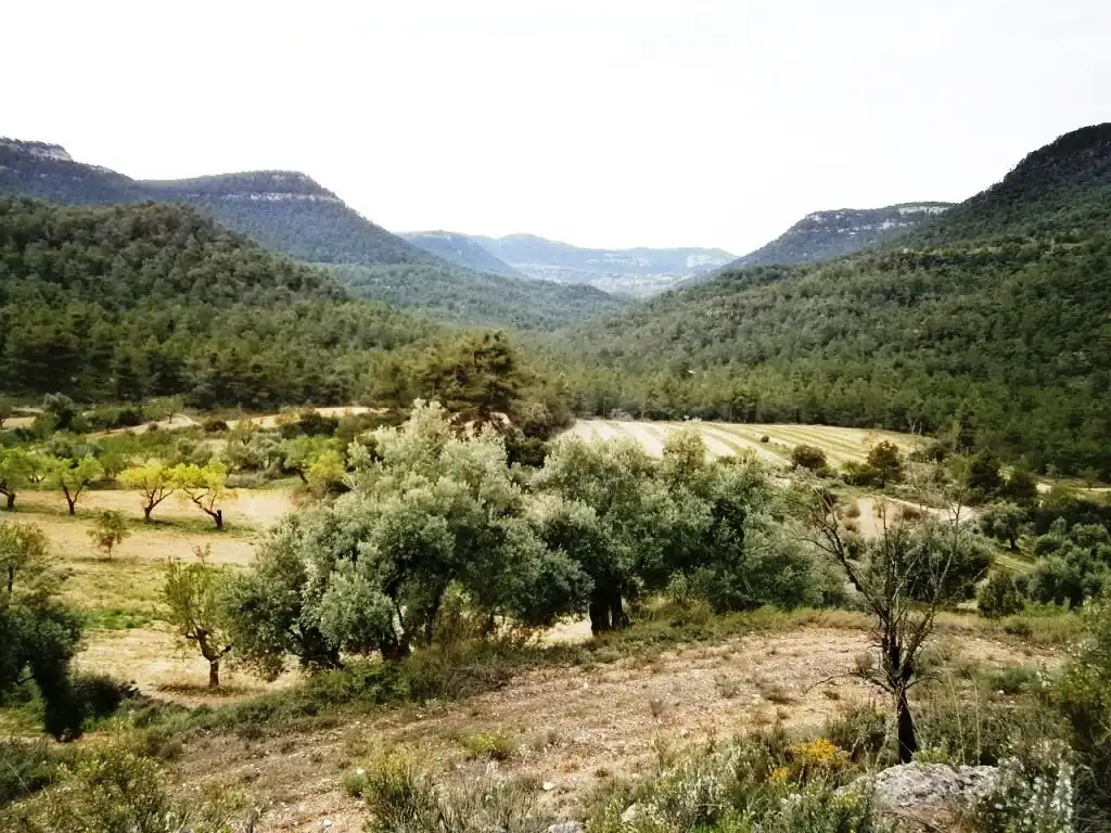 Country homes for sale in Fuentespalda  with Private garden, Terrace and Storage room