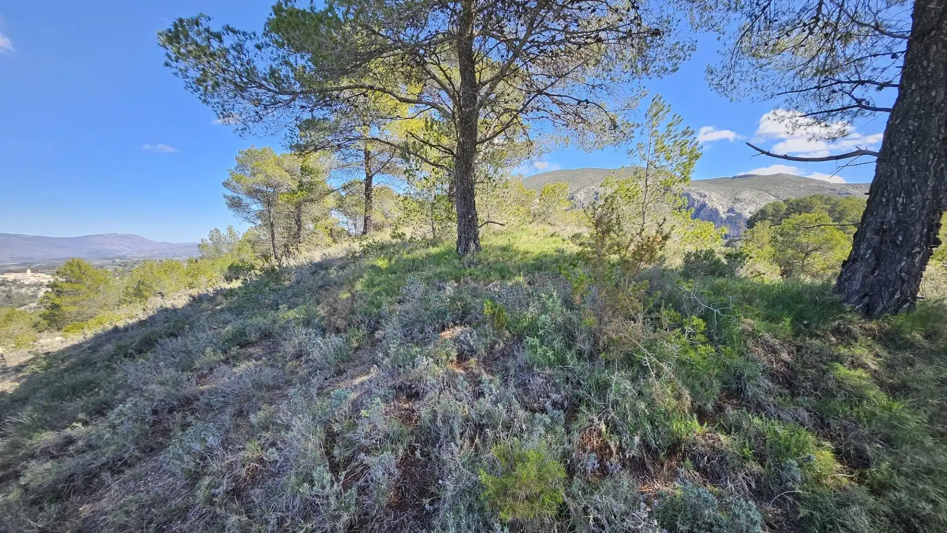 Terrain rustique à vendre à Millena, imagen 19