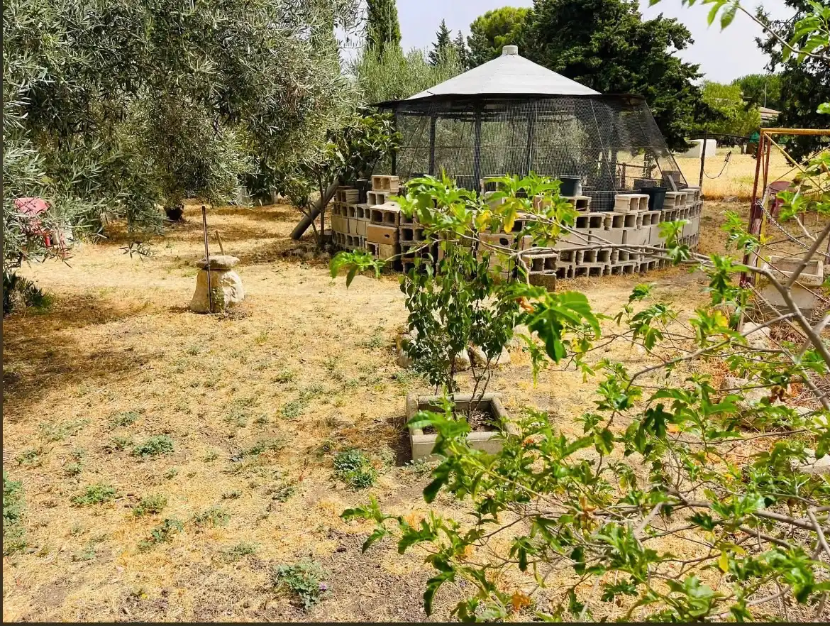 Terreni e lotti in vendita a Bobadilla - Bobadilla Estación - La Joya, imagen 16