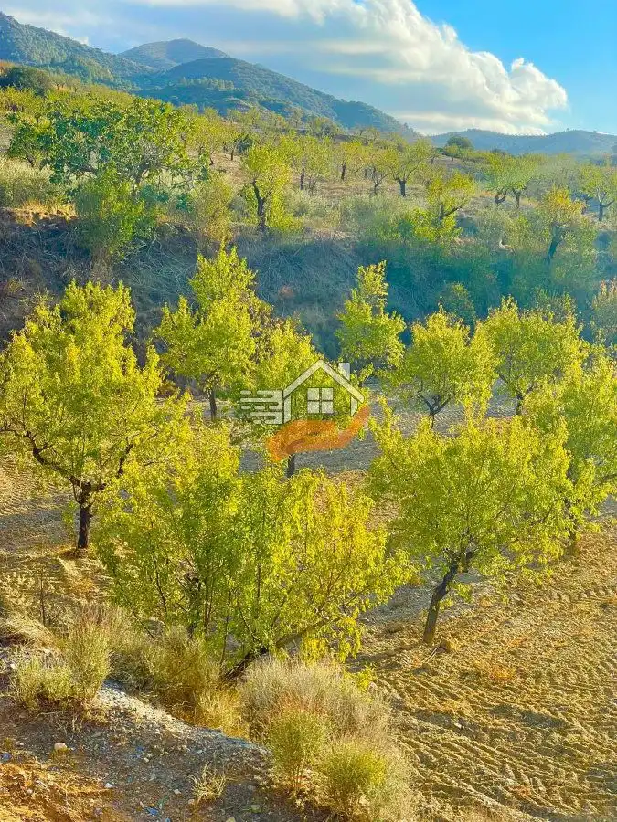 Residential land for sale in Vélez-Rubio, imagen 4