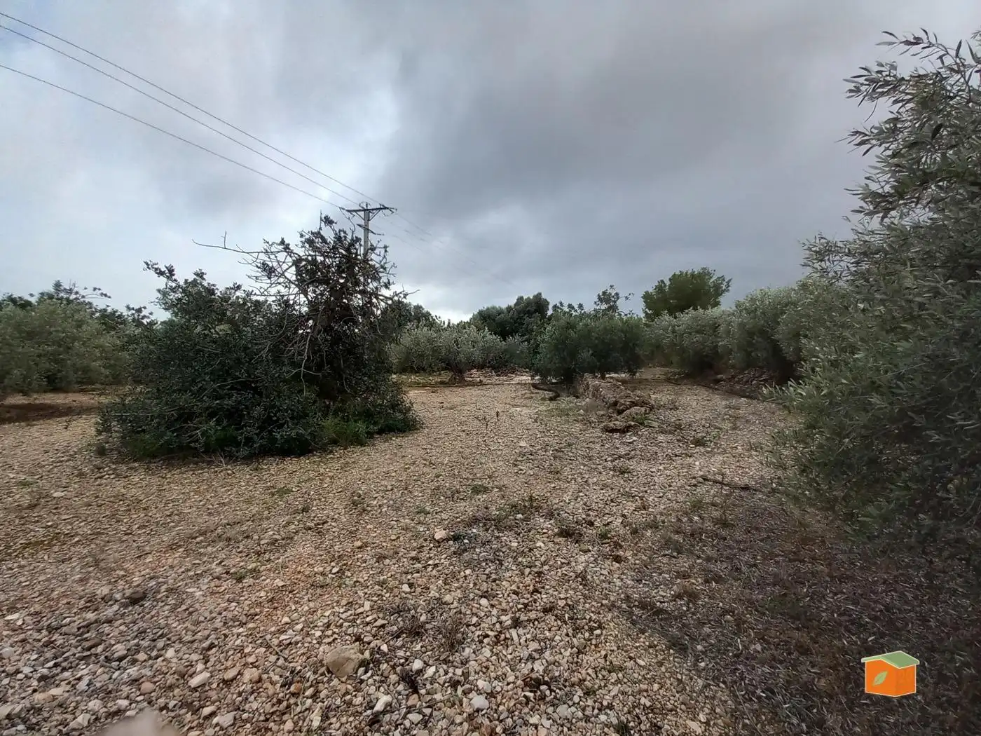 Terreno rustico in vendita a Alcanar, imagen 6