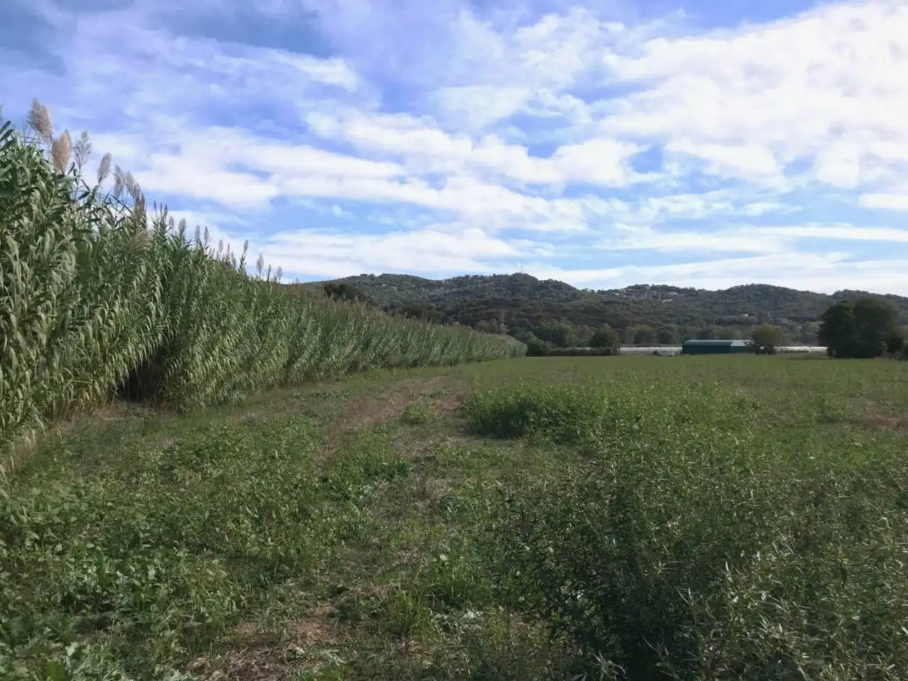 Land for sale in Vilanova del Vallès