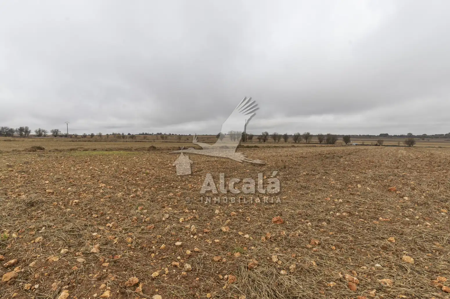 Rural land for sale in Pezuela de las Torres, imagen 27