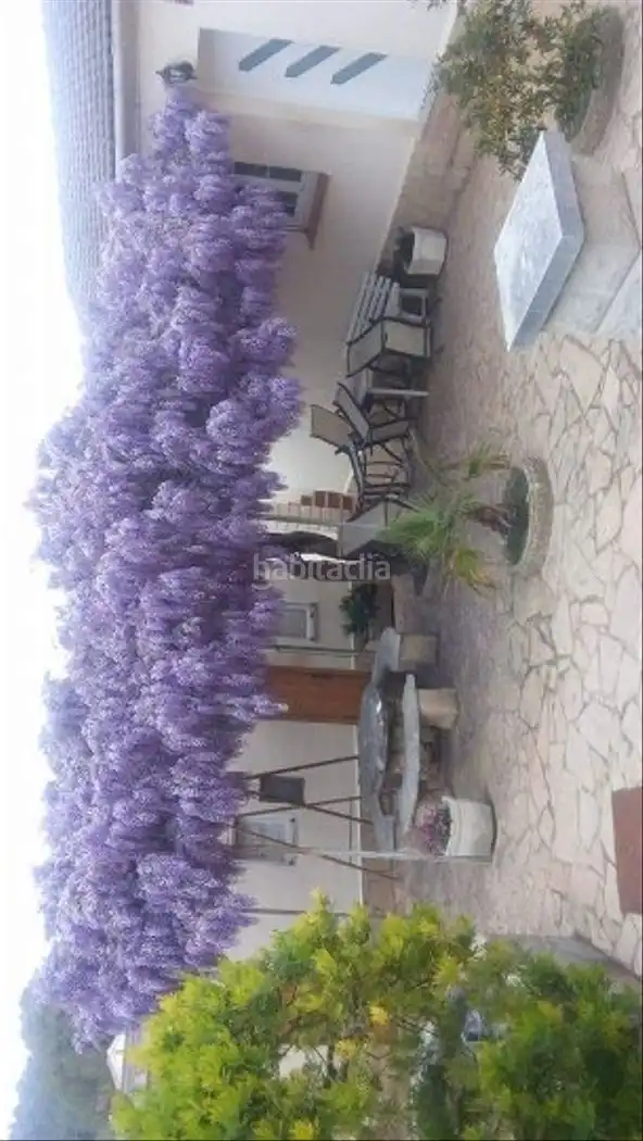 Casa con jardín en venta en Carrer de Sant Pere Molanta 45, imagen 9