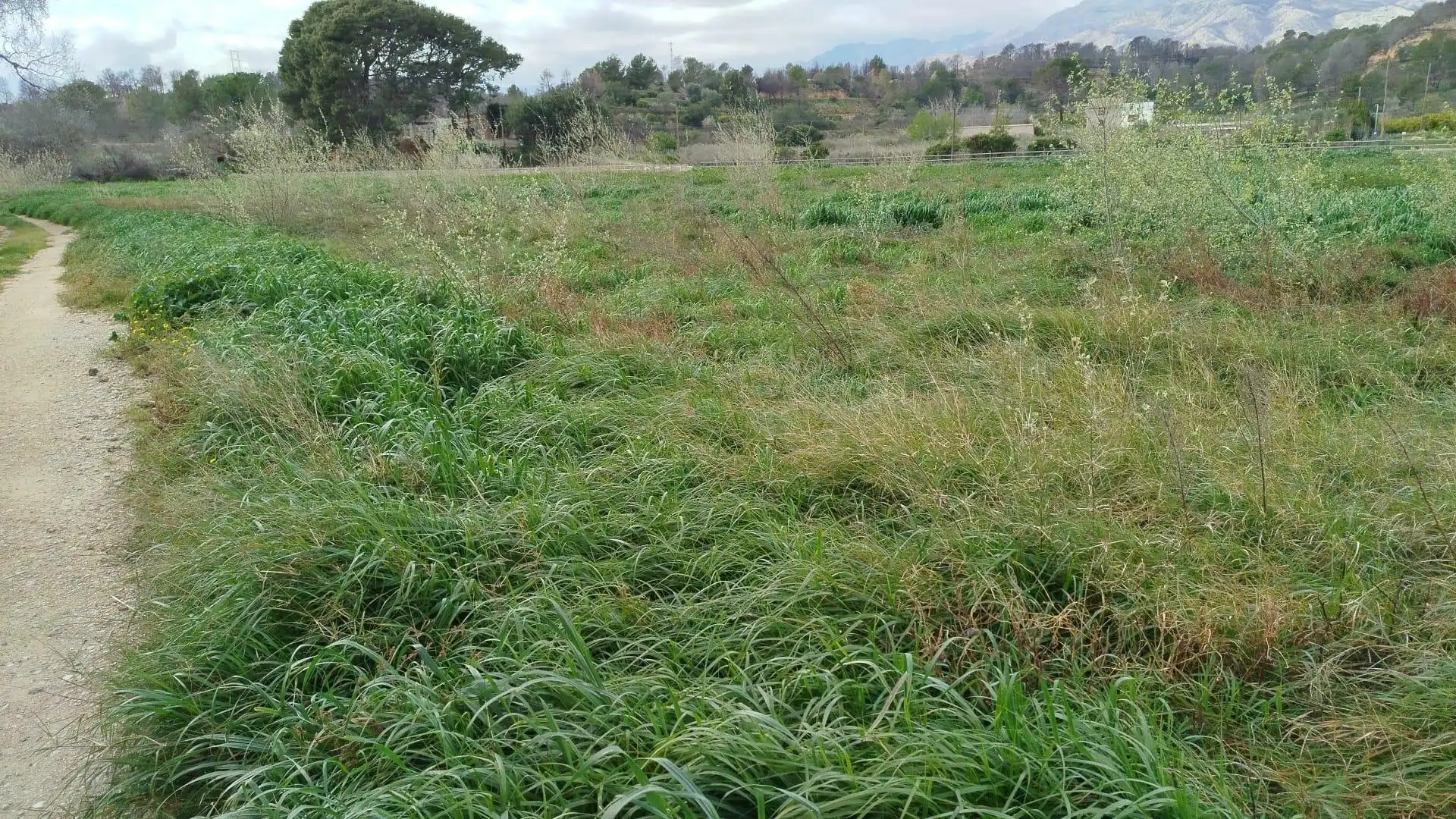 Casa rústica en venda a Xerta, imagen 9
