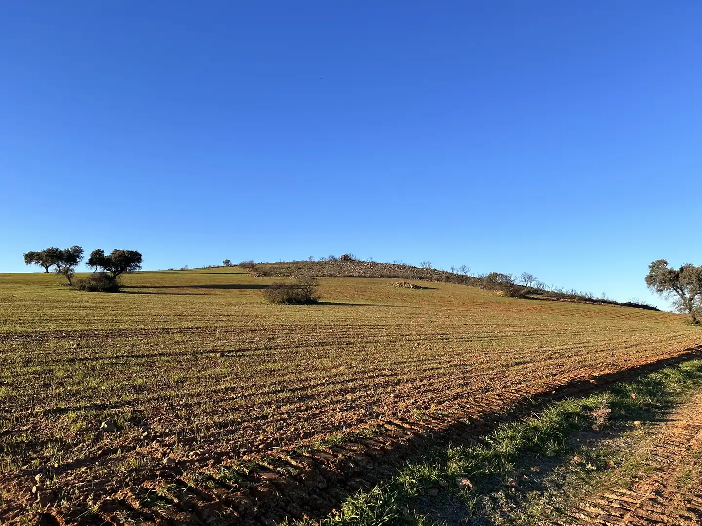 Terreny rústic en venda a Peraleda del Zaucejo, imagen 17