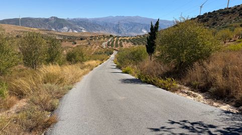 Finca en Padul zona de almaizar