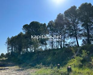 Residential for sale in Alfafara