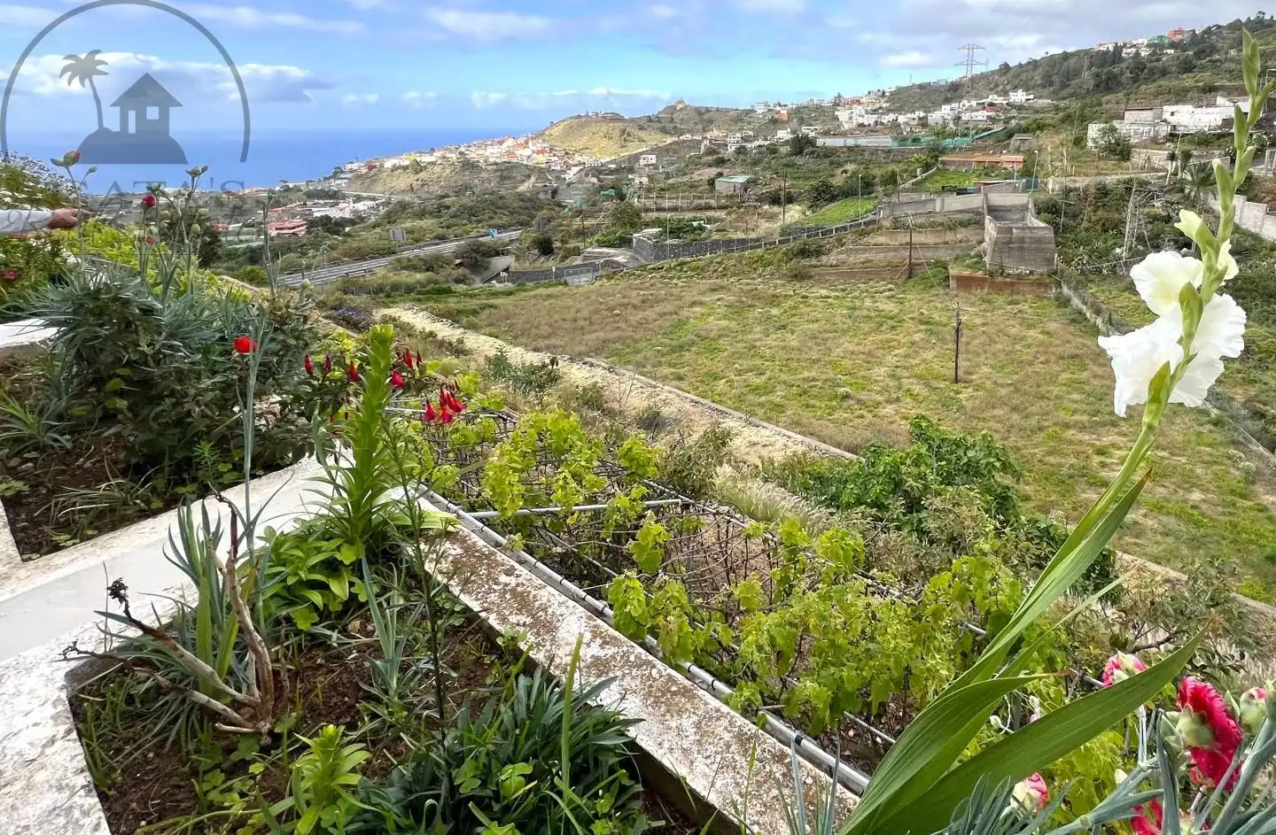 Maison rustique avec piscine à vendre à Buen Paso - La Mancha, imagen 21
