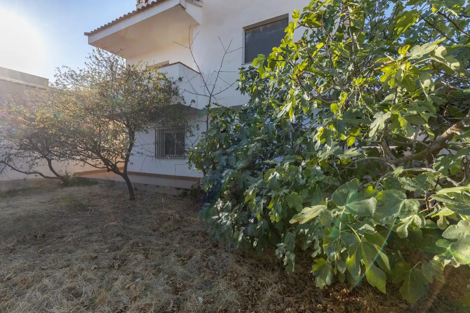 Vista exterior de Casa o chalet en venta en Escúzar, Granada