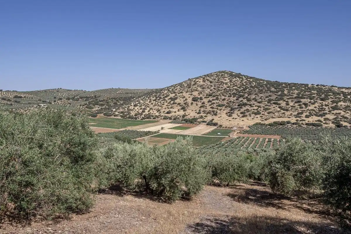 Terreno rustico in vendita a Montefrío, imagen 13