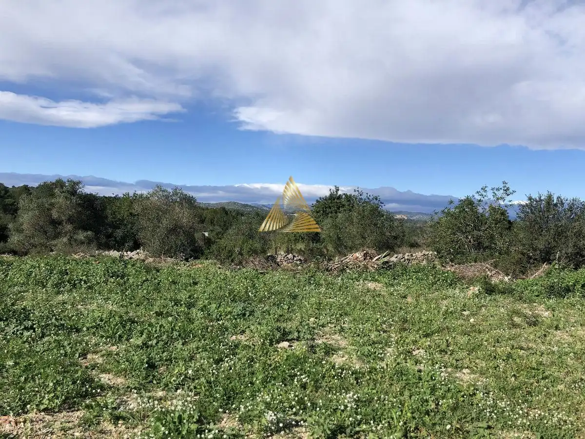 Lands and plots for sale in Las Atalayas - Urmi - Cerro de Mar