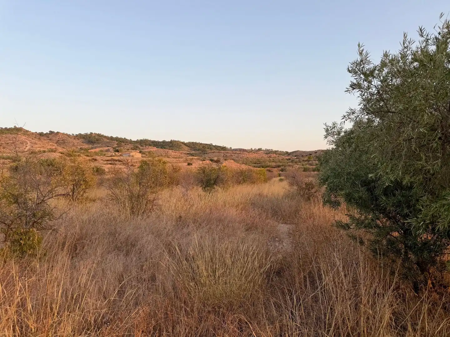 Lands and plots for sale in Abanilla, imagen 3