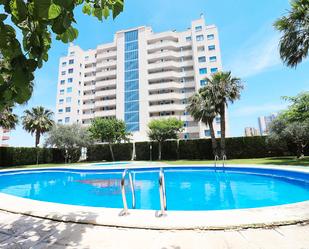 Swimming pool of Apartment to rent in Guardamar del Segura  with Air Conditioner, Heating and Terrace