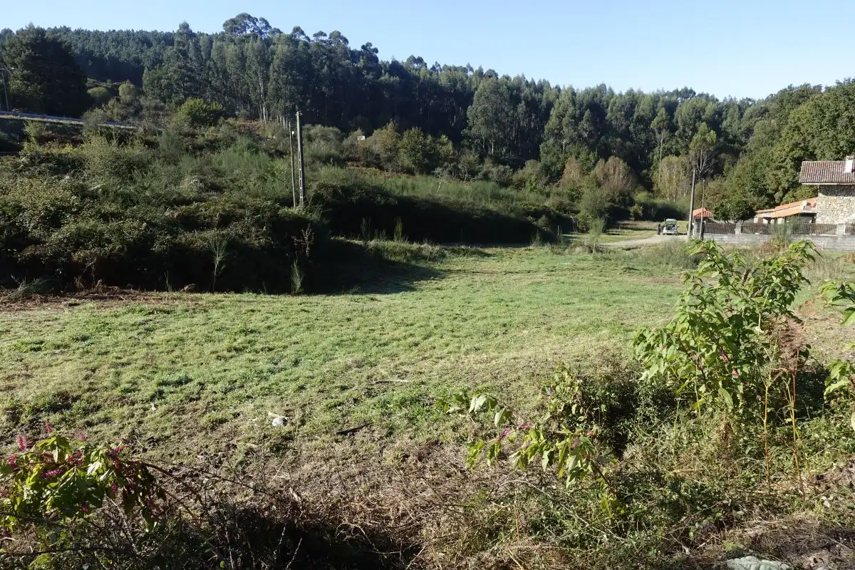 Terrains et parcelles à vendre à Fornelos de Montes, imagen 9