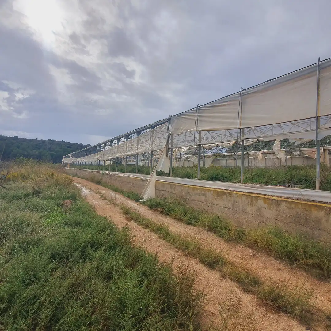 Rustikales Grundstück zum Verkauf in El Pinell de Brai, imagen 30