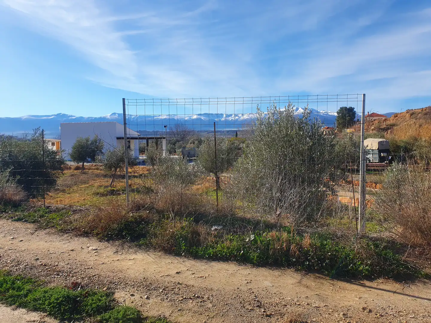 Terreni e lotti in vendita a Guadix