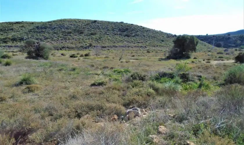 Casa o xalet en venda en Níjar amb Jardí privat, Terrassa i Moblat