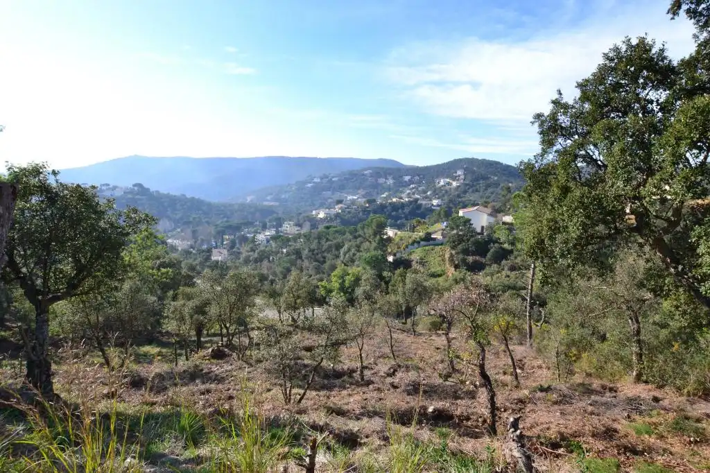 Terreno residencial en venta en alzina, imagen 3
