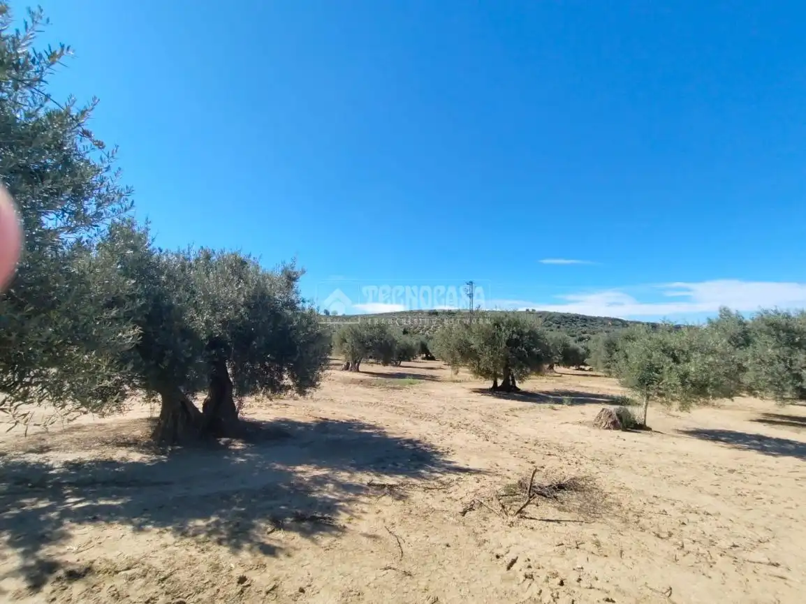 Terreni e lotti in vendita a Mengíbar, imagen 7