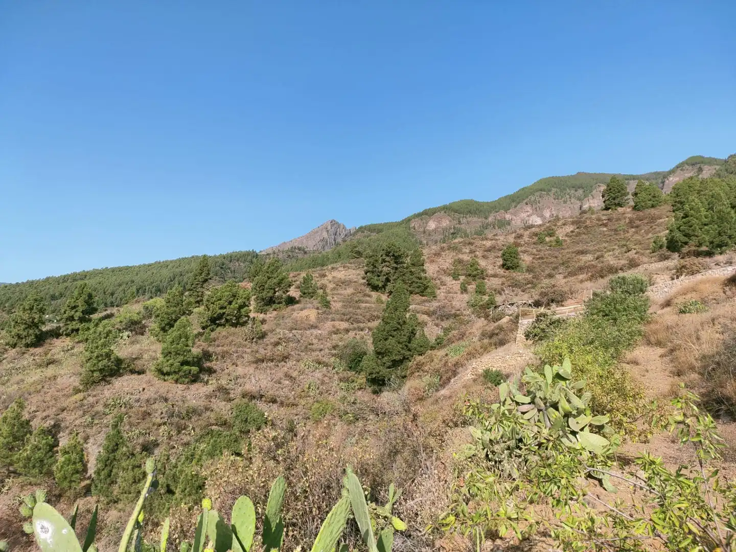 Rural land for sale in Arafo, imagen 4