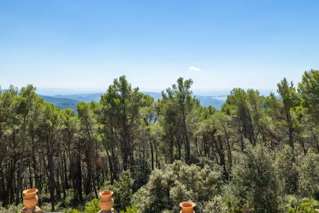 Garten von Haus oder Chalet zum Verkauf in Puigpunyent mit Privatgarten, Terrasse und Schwimmbad