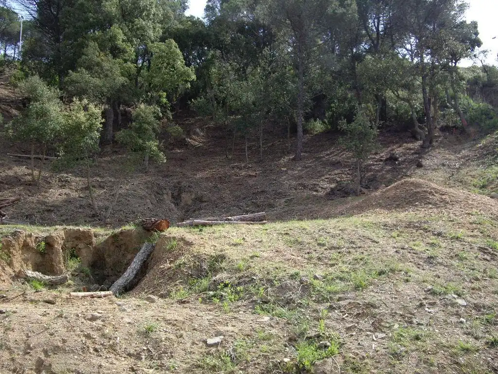 Residential land for sale in Eucaliptus, imagen 8