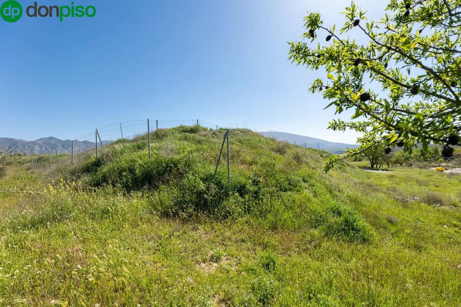 Terreny rústic en venda a tesoro de villamena, imagen 22