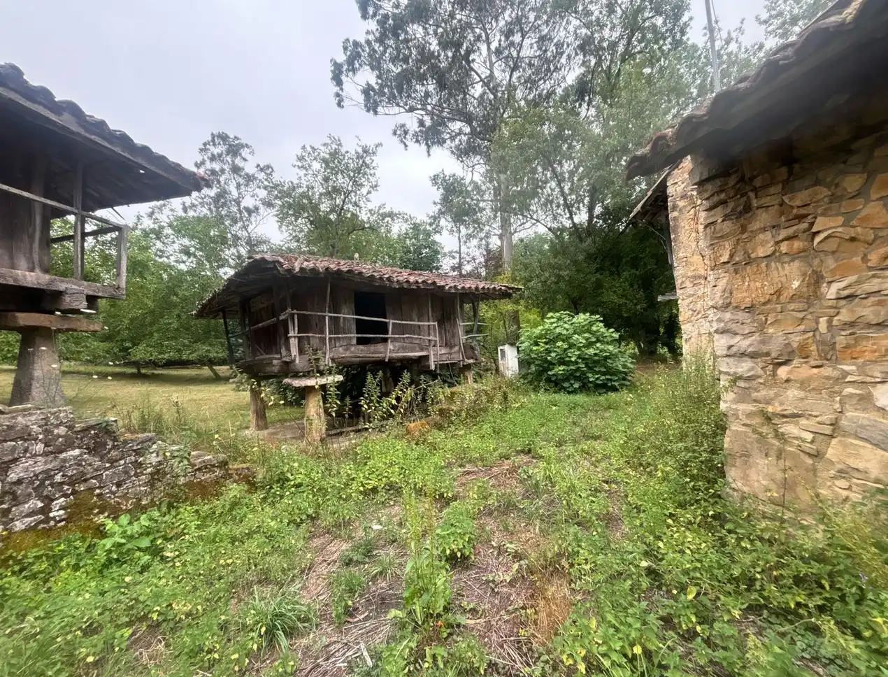 Vista exterior de Finca rústica en venda en Gijón  amb Jardí privat