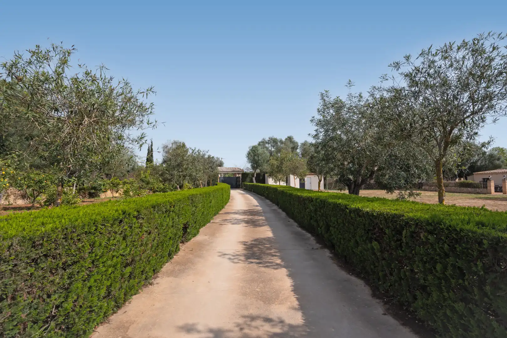 Jardí de Finca rústica en venda en Llucmajor amb Aire condicionat, Calefacció i Jardí privat