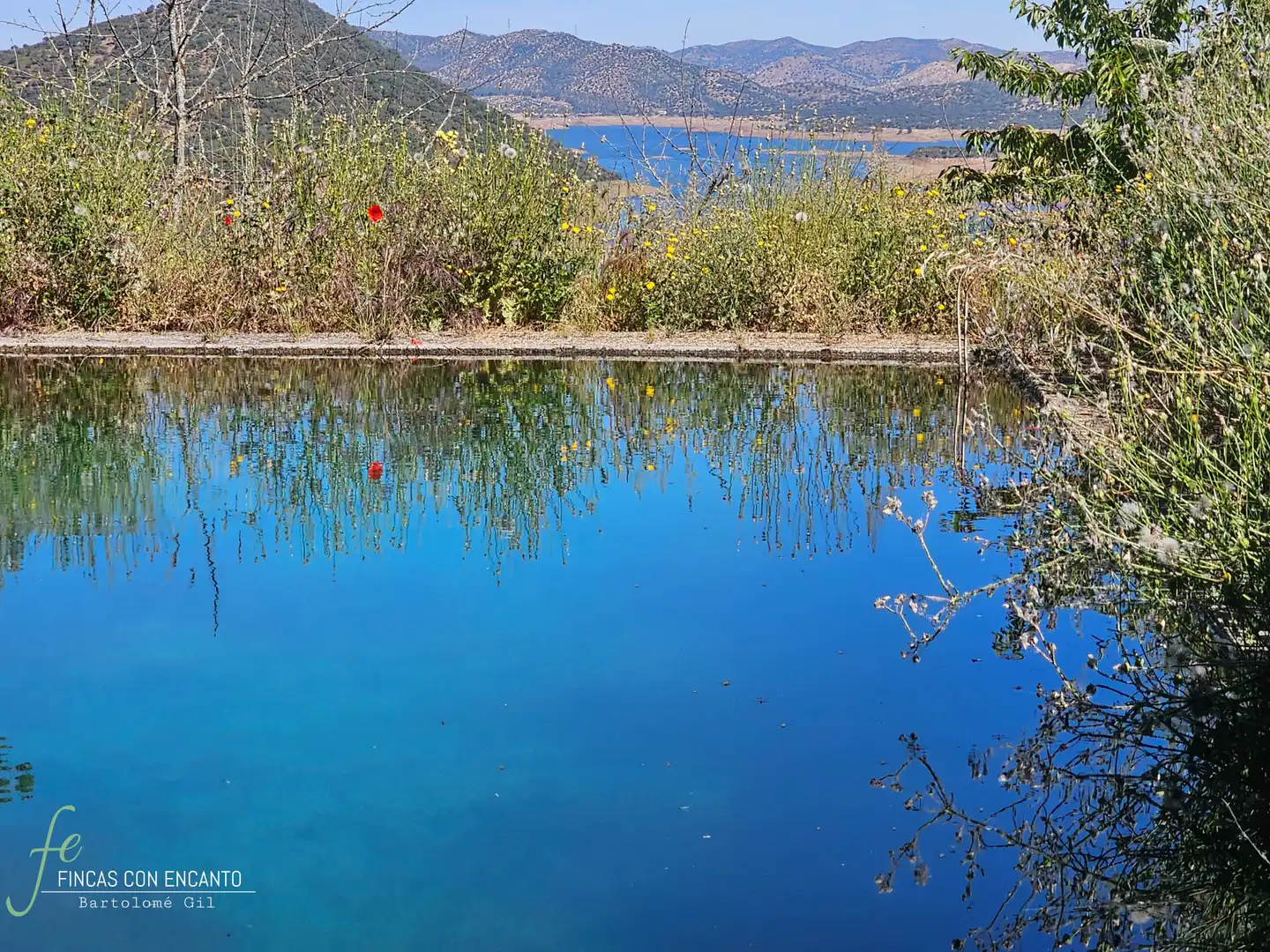 Swimming pool of Country homes for sale in Cazalla de la Sierra  with Swimming Pool