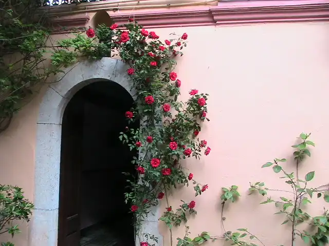 Villa avec jardin à vendre à Alcanar, imagen 16