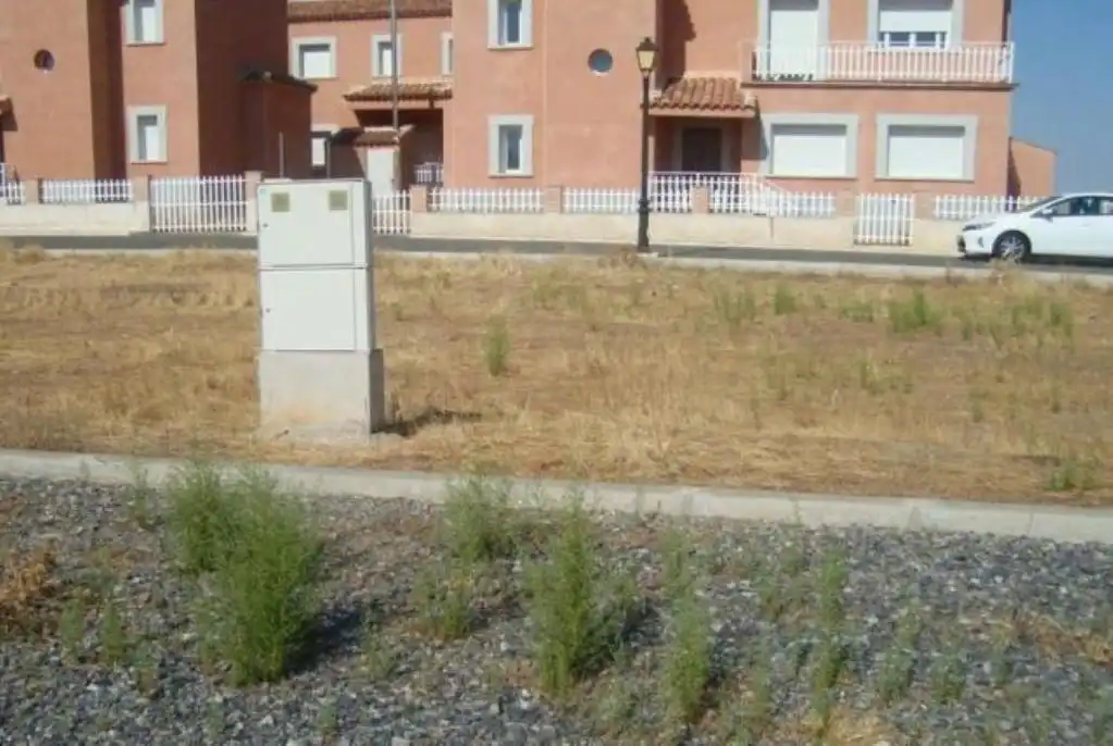 Rural land for sale in Polígono Pueblo Artesano, imagen 3