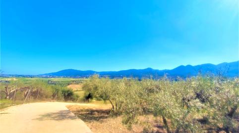 Foto 5 de Finca rústica en venda a Buenavista - Lauro Golf, Alhaurín de la Torre