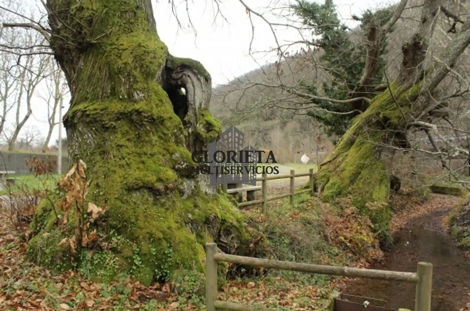 Casa o chalet en venta en Trabadelo