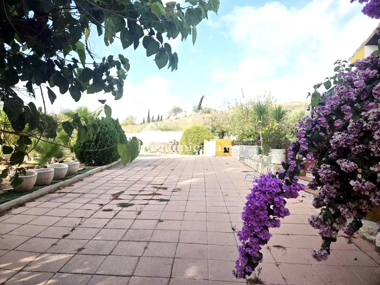 Jardí de Casa o xalet en venda en Puente Tablas - Puente Nuevo - Cerro Molina