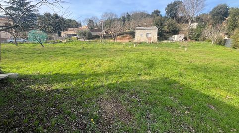 Foto 3 de Casa o chalet en venta en Camino, 46, Sant Feliu de Buixalleu, Girona