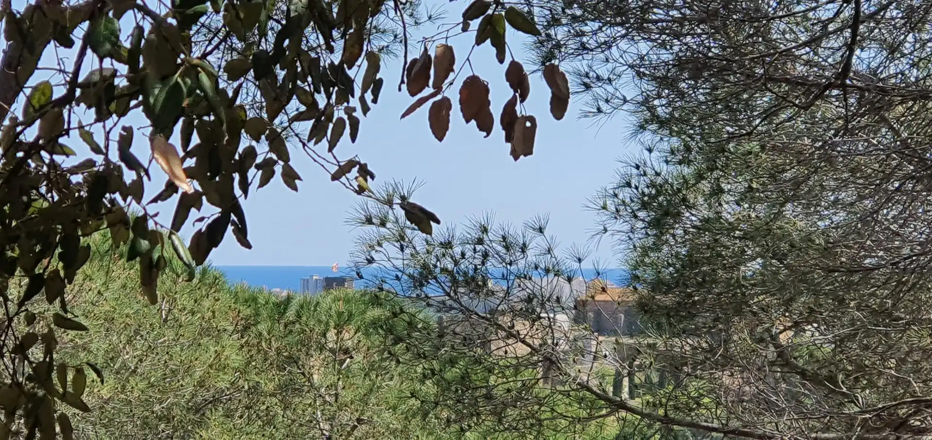 Lands and plots for sale in galligants, imagen 2
